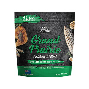 Au\[g ABSOLUTE GAhChbOg[c Ohv[[(`LzL) 100gyp ybg   W[L[z