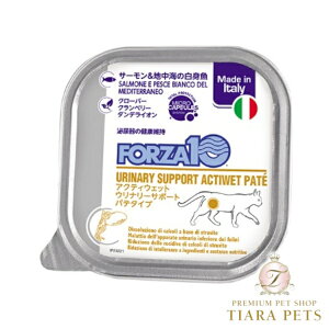 tHc@fBG` FORZA10 Ei[Lbg ANeBEFbg APA100gyLp L VjAL APA HÖ@Hz