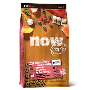 yNEWziE tbV NOW FRESH Grain Free tBbVA_g 1.59kgy ybg hCt[h OCt[ ޕsgp z