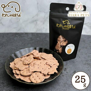 ̂͂ _ۃrXPbg  |PbgTCY 25gyp  rXPbgz