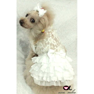 AL~A accu milia gCG[Rbg``(XS/SS/S)y^  EGA s[X hX Zuz 