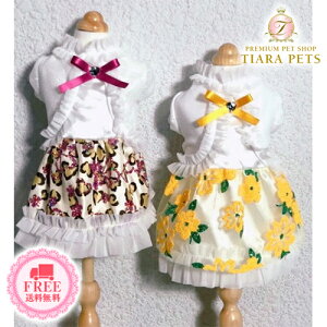 y0̂̓|Cg5{!!&eN[|s!!zAL~A accu milia {otX[uO[s(S)y^  EGA s[X hX Zuz 