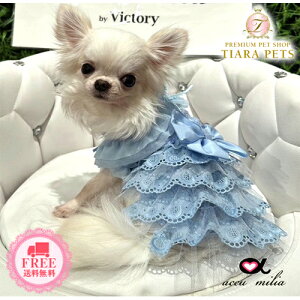 AL~A accu milia u[N[Rbgs(M)y^  EGA s[X hX Zuz 