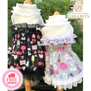 AL~A accu milia pt[V[Os[(L)y^  EGA s[X hX Zuz 