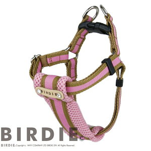 o[fB BIRDIE bZNbVn[lX(M)yE^ p n[lX  JWAz 