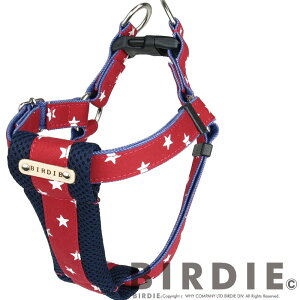 y1118|Cg2{!!zo[fB BIRDIE X^[fjNbVn[lX(M)y`^ p n[lX  JWAz 