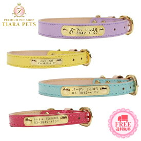 バーディ BIRDIE ボニーIDカラー(サイズ25)【小型犬 犬用 首輪 カラー カジュアル】 送料無料