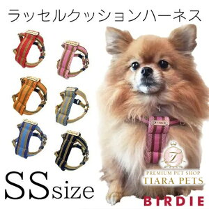 o[fB BIRDIE bZNbVn[lX(SS)yE^ p n[lX  JWAz