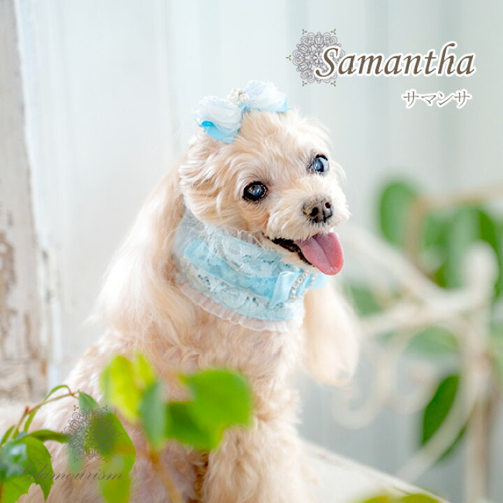 楽天市場 グラマーイズム Glamourism サマンサ Samantha 小型犬 ウエア マフラー スカーフ 首巻き スヌード セレブ Tiara Pets 楽天市場 グラマーイズム Glamourism サマンサ Samantha 小型犬 ウエア マフラー スカーフ 首巻き スヌード セレブ Tiara Pets