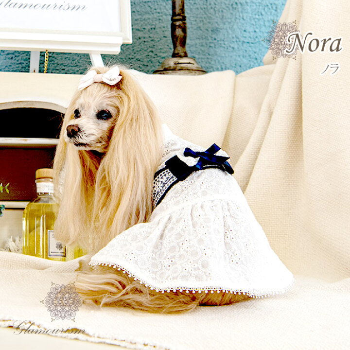 楽天市場 グラマーイズム Glamourism ノラ Nora 小型犬 犬服 ウエア ワンピース ドレス セレブ 送料無料 Tiara Pets