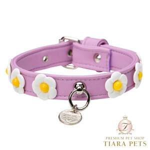 V[bghX Charlotte's Dress Art. f1602N collar Daisyy^ p  J[ Zuz