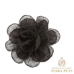 V[bghX Charlotte's Dress Art. A113N hair-clip Romantic Floweryp wAANZT[ wANbv ANZT Zuz