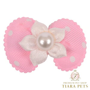 V[bghX Charlotte's Dress Art. A10N hair-clip Prettyyp wAANZT[ wANbv ANZT Zuz