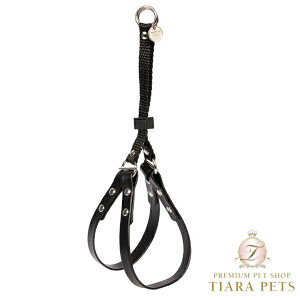 V[bghX Charlotte's Dress Art Q108N harness Opla Bigyp n[lX Zuz