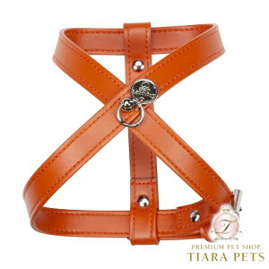 V[bghX Charlotte's Dress Art. g1566N harness Hermes(Vo[dl)yp n[lX Zuz