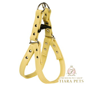 V[bghX Charlotte's Dress Art Q100N15 harness Oplayp n[lX Zuz