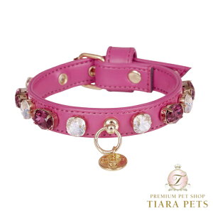 V[bghX Charlotte's Dress Art. f1568N collar Darleneyp J[ n[lX [h Zuz