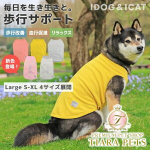 AChbO iDog UNAGE AGCW ^p EFlXEFA Ci[^N AChbO [OK[15892]yVjA p  Zuz