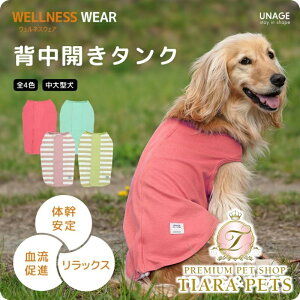 AChbO iDog UNAGE AGCW ^p EFlXEFA wJ^N AChbO [OK[15894]yVjA p  Zuz