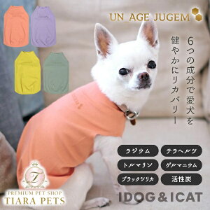 AChbO iDog UNAGE_JUGEM ZEROSEAMD^N AGCW WQ AChbO [17980]y hbOEFA gbvX ^Ngbv si i ̊ sP  앞 VjA 