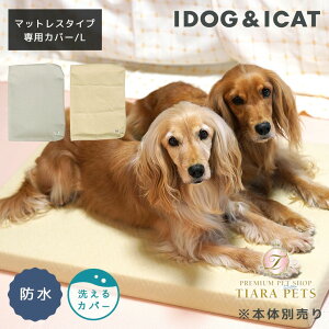 AChbO iDog UNAGE AGCW GA[bV}bgXpJo[ hLg LTCY AChbO[17842]y^ p }bg Zuz