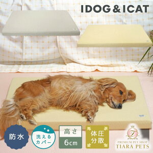 AChbO iDog UNAGE AGCW GA[bV}bgX hLg LTCY AChbO[17840]y^ p }bg Zuz