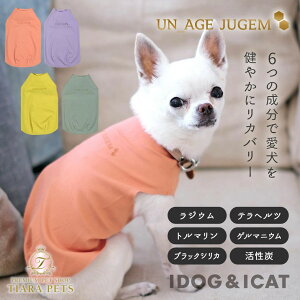 AChbO iDog UNAGE_JUGEM ZEROSEAMD^N AGCW WQ AChbO [OK[17980]yVjA p  Zuz