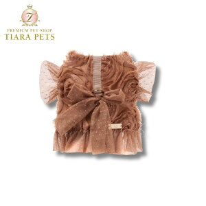 eI ACN[ TEO I'M COOL AMBRA ROSES tailoring harness y^ p n[lX  Zuz