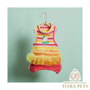CXhbO louisdog Sole TUTU Pantsy^  pc p[X Ȃ Zuz