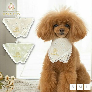 AgDgD Un TouTou fCW[XgCvX^Cy^  p ANZT[ X^C ObY Zuz