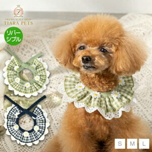 AgDgD Un TouTou ԎhイbyX^Cy^  p ANZT[ X^C ObY Zuz