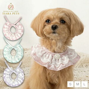 AgDgD Un TouTou n[g[XX^Cy^  p ANZT[ X^C ObY Zuz