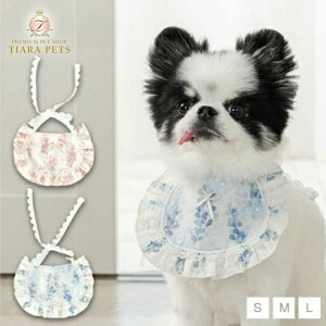 AgDgD Un TouTou 炫`[tX^Cy^  p ANZT[ X^C ObY Zuz