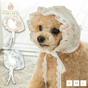 AgDgD Un TouTou 炫`[tXqy^  p ANZT[ Xq ObY Zuz