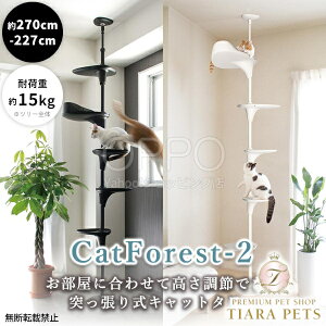 OPPO Ib| LbgtHXg2yLp Lbg^[ ˂ L^[ X VjAL  LbgtHXg LbgXebvz