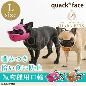 OPPO Ib| }YK[h N@bNtFCX Ly̌ Z  }XN }YK[h EHh~ ݕȖh~ t`uhbO N@bNtFCXz