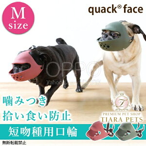 OPPO Ib| }YK[h N@bNtFCX My̌ Z  }XN }YK[h EHh~ ݕȖh~ t`uhbO N@bNtFCXz