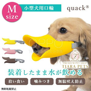 y5̂̓|Cg5{!!&eN[|s!!zOPPO Ib| }YK[h N@bN My̌  EHh~ Aq p}Y ߂ ݕȖh~ ^ N@bN Mz