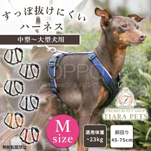 OPPO Ib| _uv~An[lX My n[lX pn[lX  EȂ h~ ȒP ^ ^   Mz