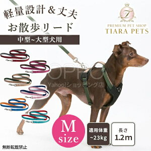 OPPO Ib| _uv~A[h My [h Ђ p[v ^ ^ 1.2m ybg[h U y  oCJ[ uh iXJ n[lX Mz