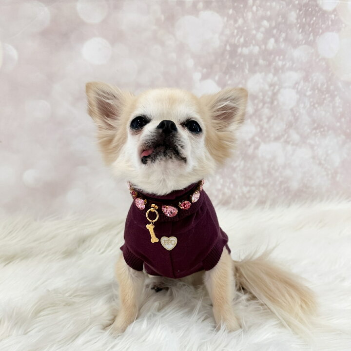 楽天市場】フォーペッツオンリー For Pets Only Burgundy Candy 