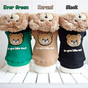 T[JXT[JX circus circus POPPIN' BEAR HOODIE(CCW-0213) XXS-Sy^  EGA gbvX p[J Zuz 