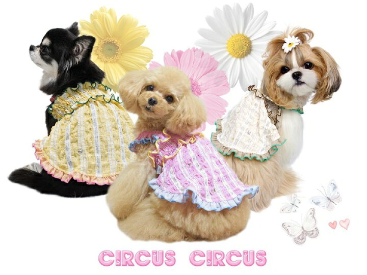 楽天市場 サーカスサーカス Circus Circus Girly Checked ワンピ Ccw 0224 Xxs S 小型犬 犬服 ウエア ワンピース ドレス 送料無料 Tiara Pets