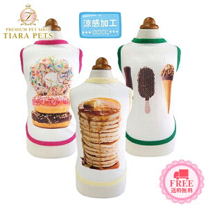 T[JXT[JX circus circus fU[g^N(CCW-0254) MELy^  EGA gbvX ^Nz 