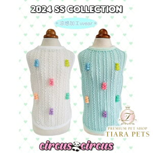 T[JXT[JX circus circus Candy Gummy^N(CCW-0272)y^  EGA gbvX ^Ngbvz