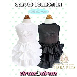 T[JXT[JX circus circus Chic Print Meshts(CCW-0271)y^  EGA s[X hXz