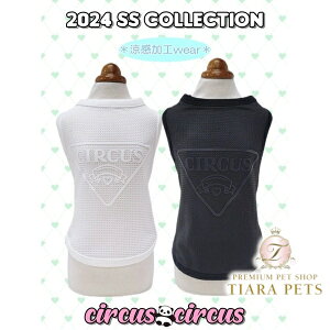 T[JXT[JX circus circus Chic Print Mesh^N(CCW-0270)y^  EGA gbvX ^Ngbvz