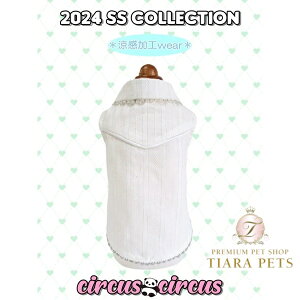 T[JXT[JX circus circus SparklingVc(CCW-0267)y^  EGA gbvX Vcz