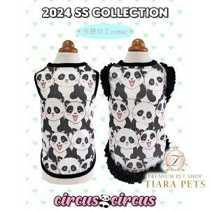 y0̂̓|Cg3{!!&eN[|s!!zT[JXT[JX circus circus FUNNY PANDA^N(CCW-0266)y^  EGA gbvX ^Nz