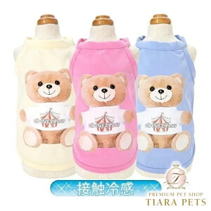 T[JXT[JX circus circus Toy Bear ʂ݃^N(CCW-0285)y^  gbvX ^Ngbvz